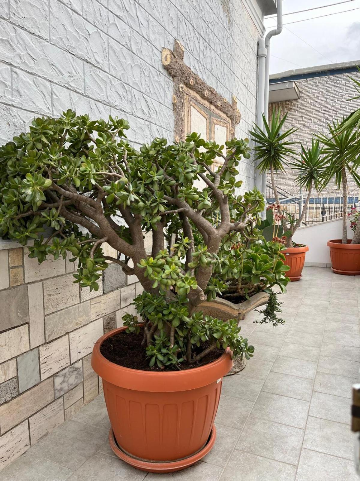 Casa Myda Apartment Bari Exterior foto